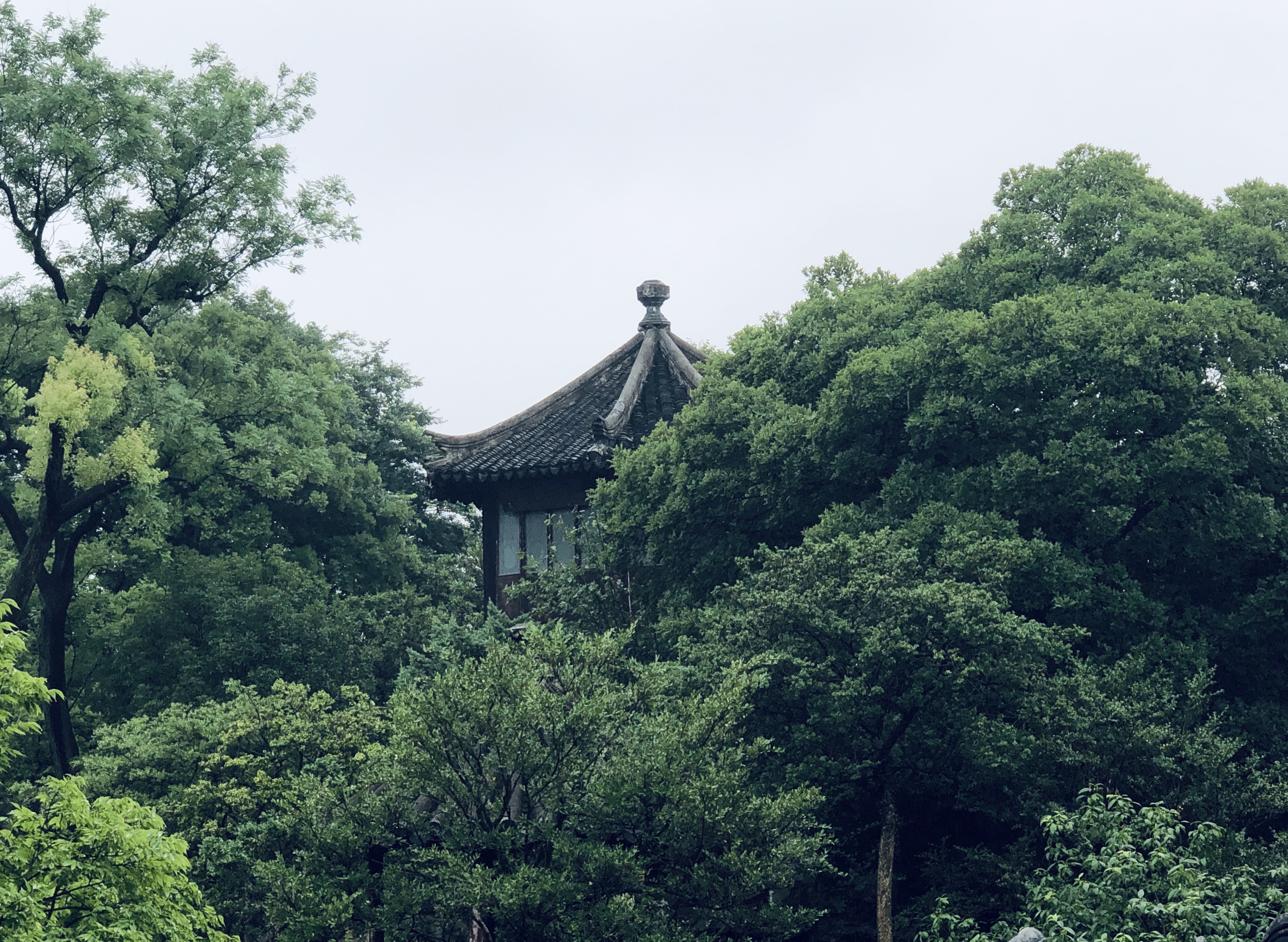 顶部轮播图05